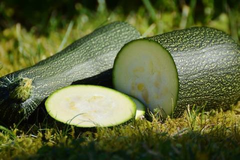 courgette